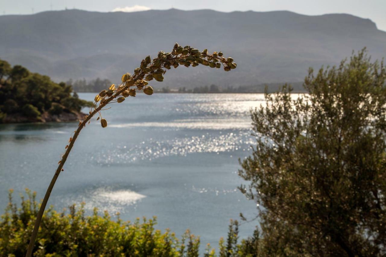 Kalavria Luxury Suites - Magnificent Sea View Of Poros Poros Town Exterior photo